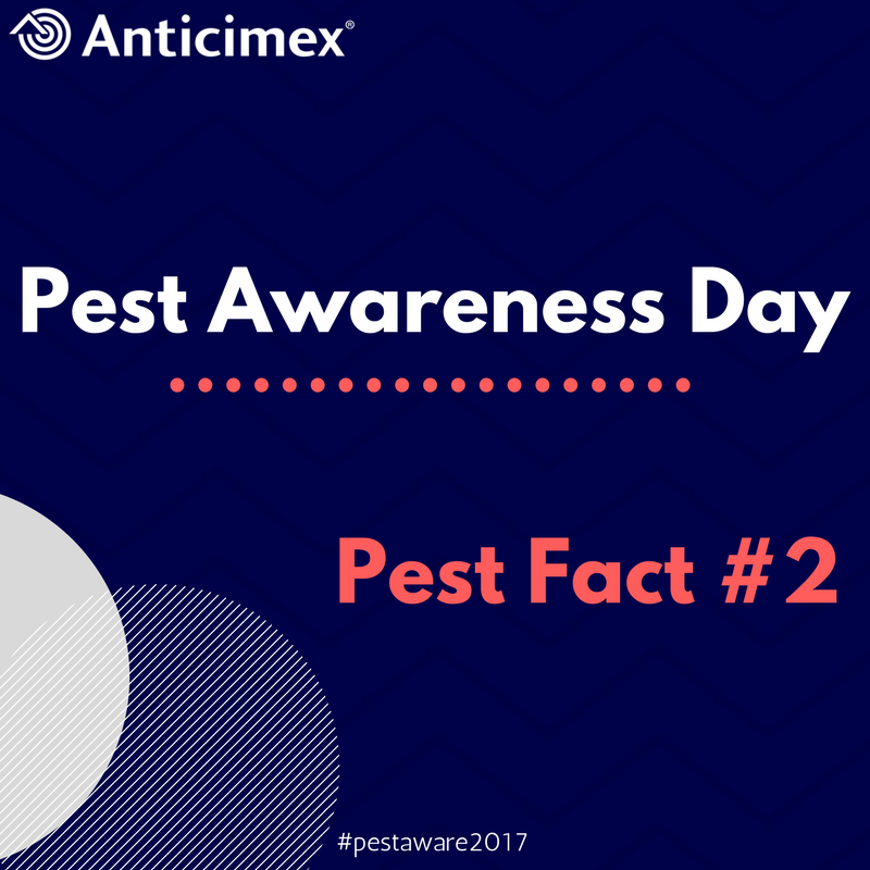 Kakkerlakken bevuilen onze voeding met hun uitwerpselen en kunnen ziektes overbrengen of een allergische reactie veroorzaken #PESTAWARE2017