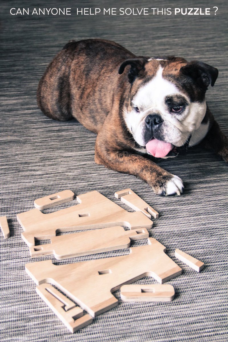 DahuDesign's tweet image. LOUIS on #kickstarter now: kickstarter.com/projects/dahud… Have a look! #design