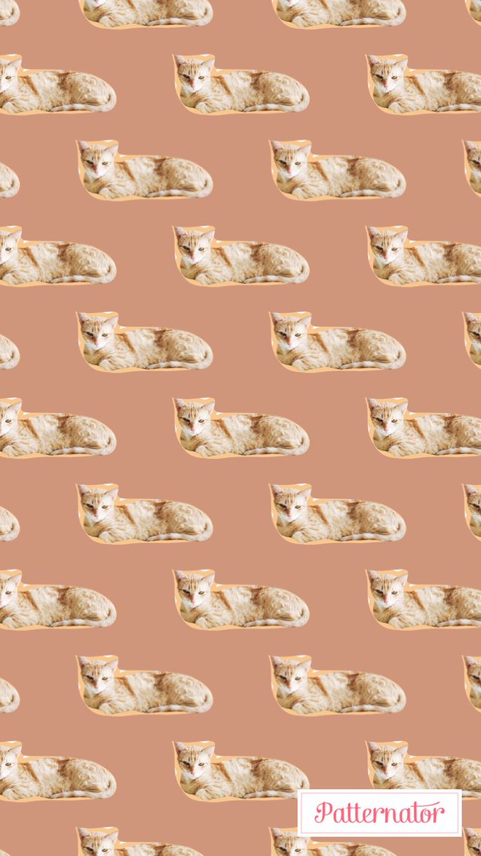 DollUpMari's tweet photo. Sandy wallpapers yall #QueenSandy https://t.co/TKvjL8u6gH