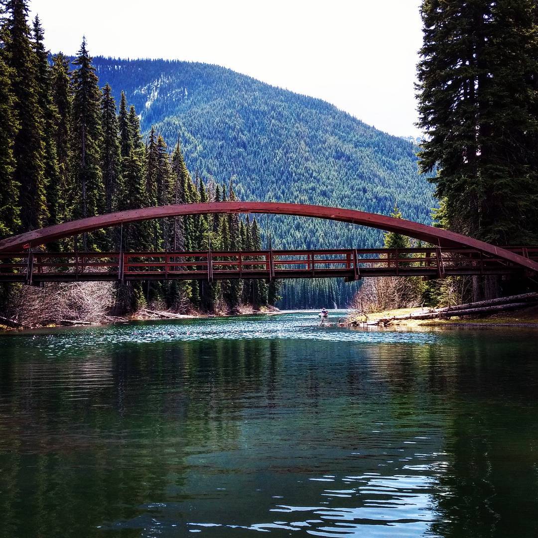 SimilkameenBC's tweet image. E.C. Manning Provincial Park, British Columbia 📷: roman_kelly11 summer.manningpark.com