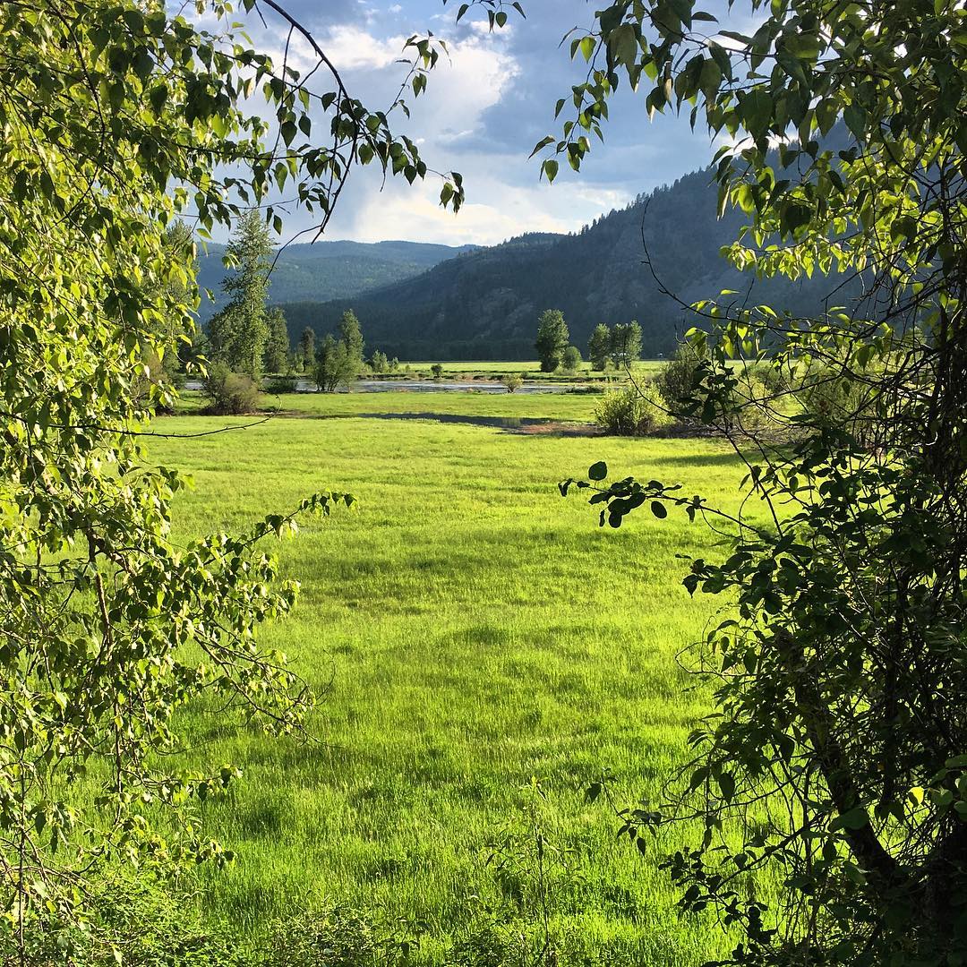 Greenery near #GrandForks
📷: boundary.bill/IG