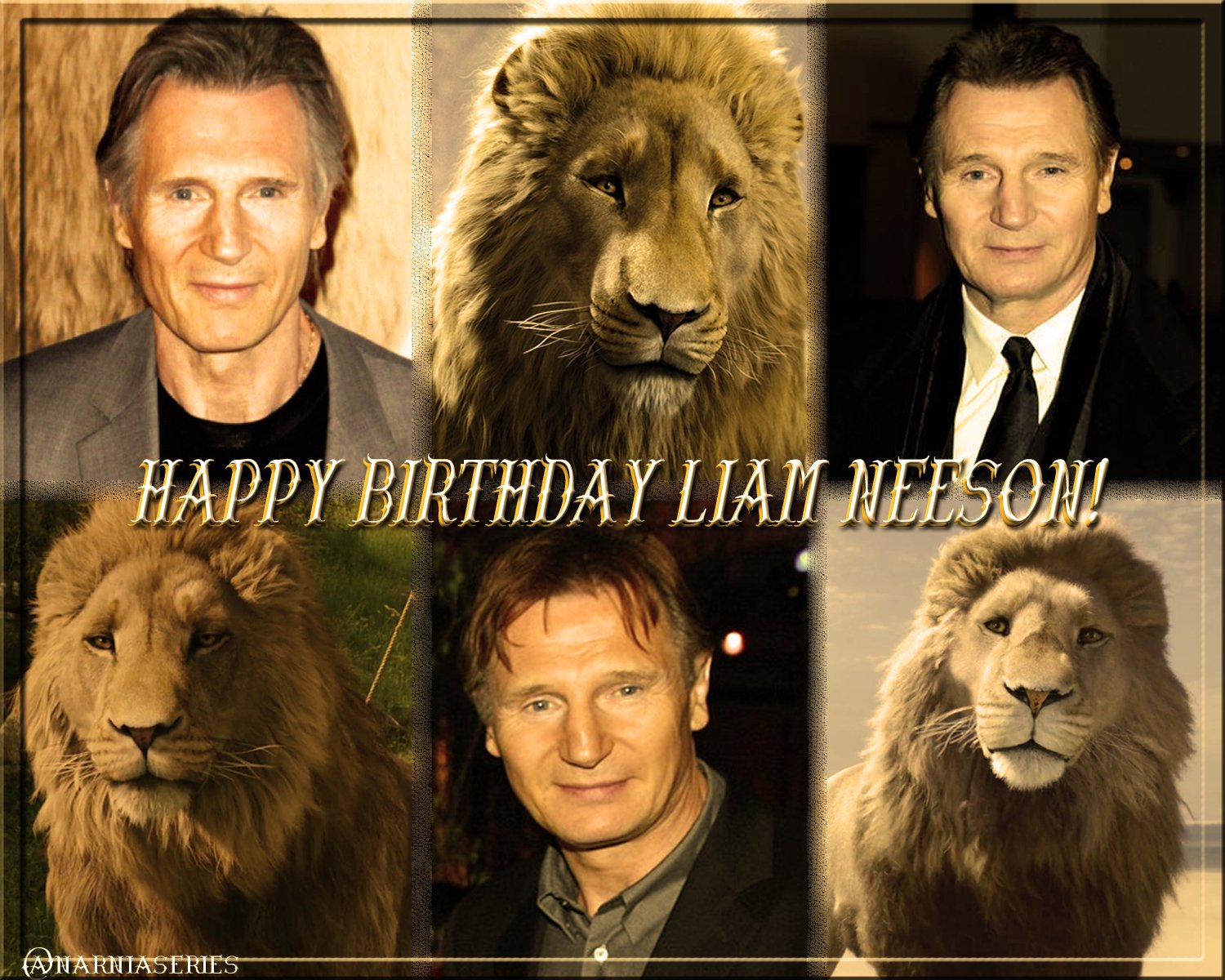 Happy Birthday to our perfect Aslan, the wonderful Liam Neeson!         