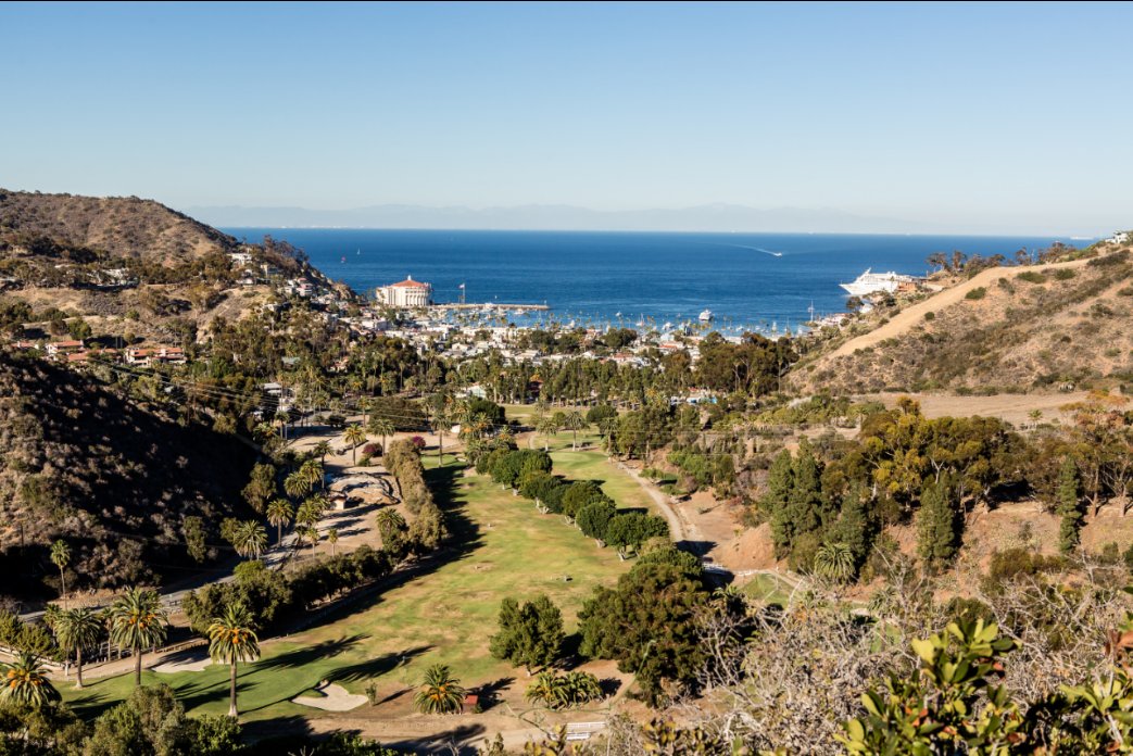 VisitCatalina's tweet photo. Join @ISpaCatalina for a complimentary #hike on June 10 at 7:45 am to celebrate #GlobalWellnessDay. #GWD2017 #CatalinaIsland #Trailview https://t.co/lb3hmYAyEB