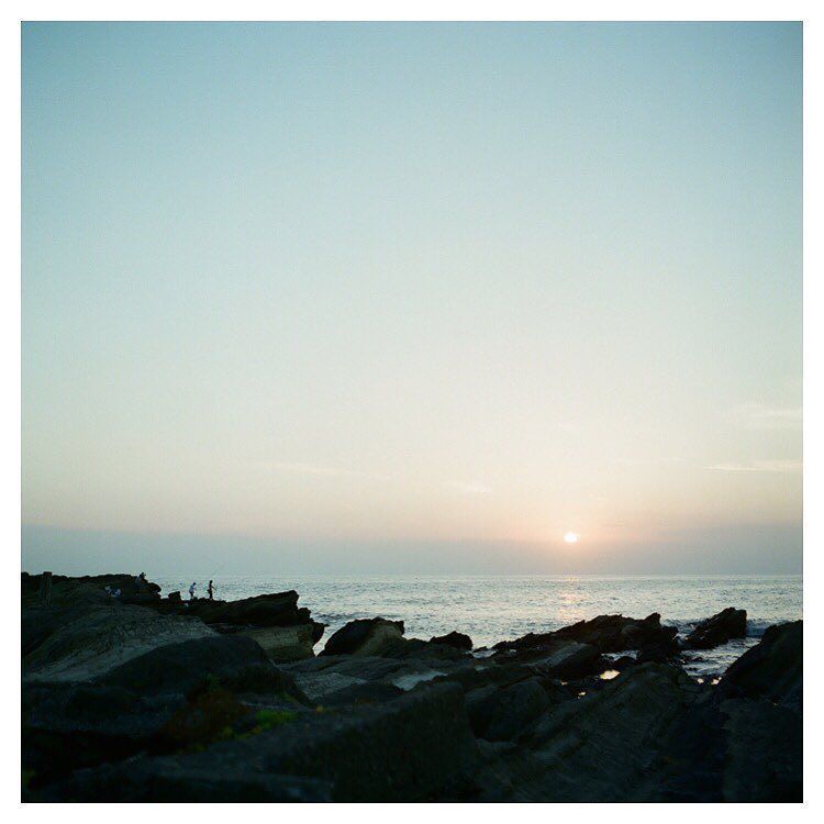 HisaFoto's tweet photo. 「三崎口」
.
.
.
#ローライコード #rolleicord #rolleicordiv #xenar #tlr #filmcommunity #hueart_life #shootermag #reco_ig #ig_ph… https://t.co/6uQO7rondP https://t.co/Kkti6g3KgC