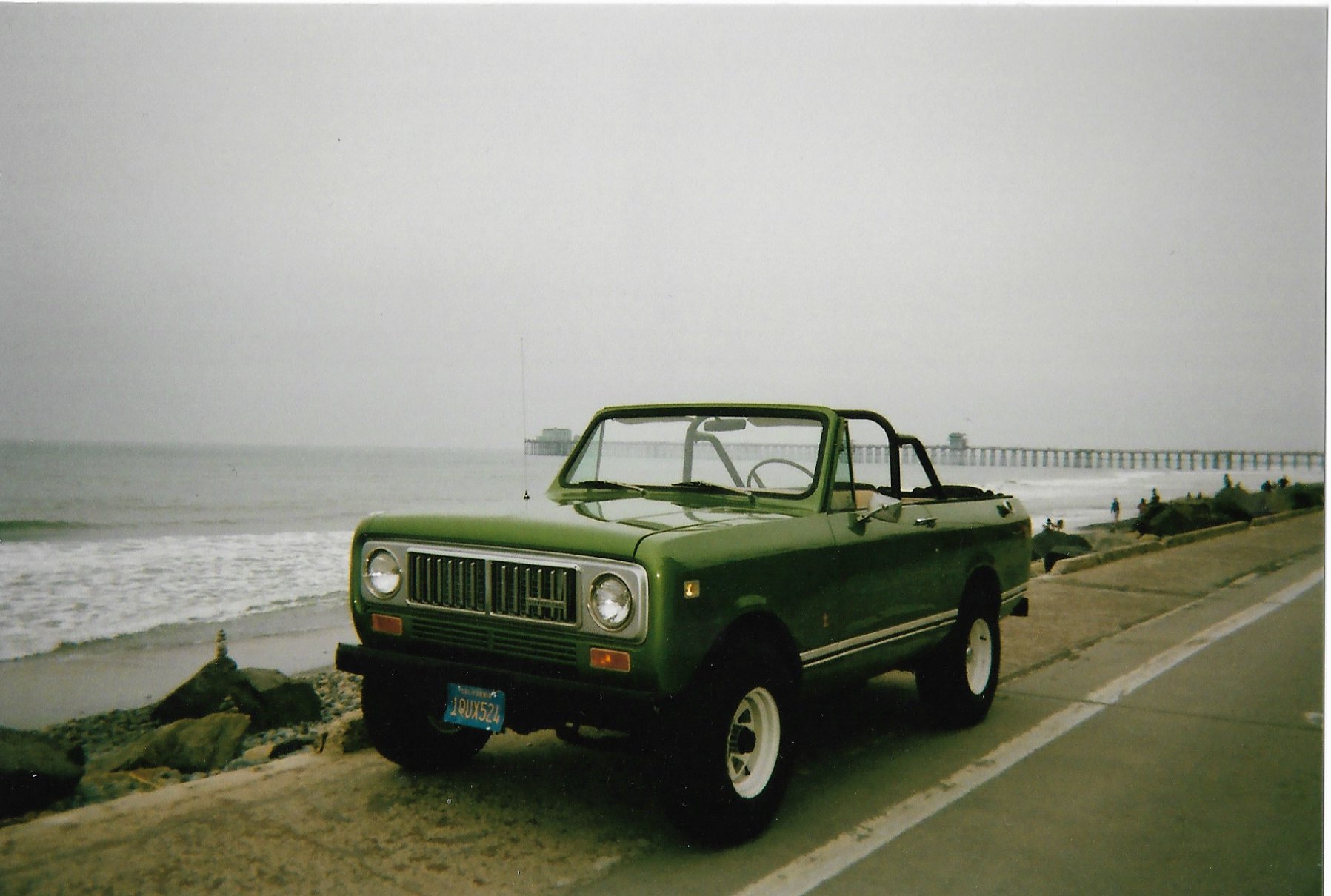 Animal Kingdom on Twitter "Deran�s Scout, 2017. Part of