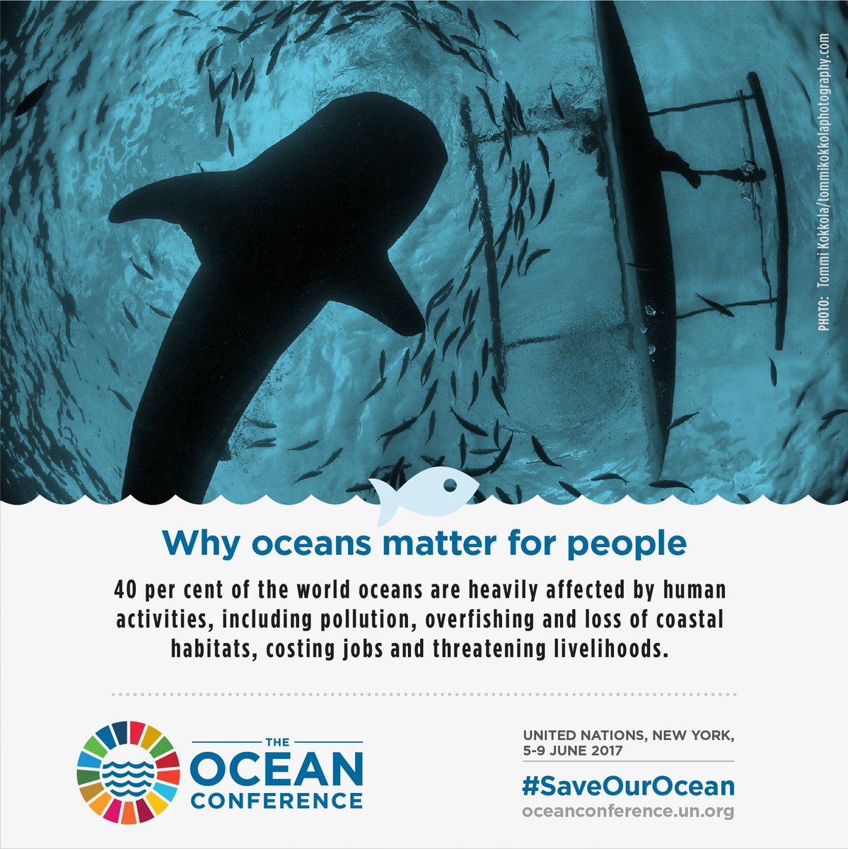 UN's tweet photo. On Thursday's #WorldOceansDay &amp; everyday, take action to #SaveOurOcean, because our ocean is our future ➡️ https://t.co/3Ea4JOLJAF https://t.co/j7bwWLOMwg
