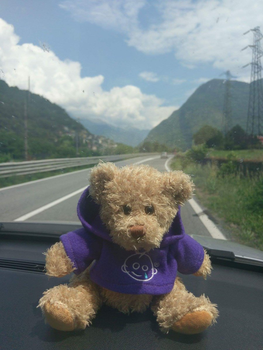 olhailyina's tweet photo. Bernard on holidays,exploring North Italy... https://t.co/N7TDN9h9BX