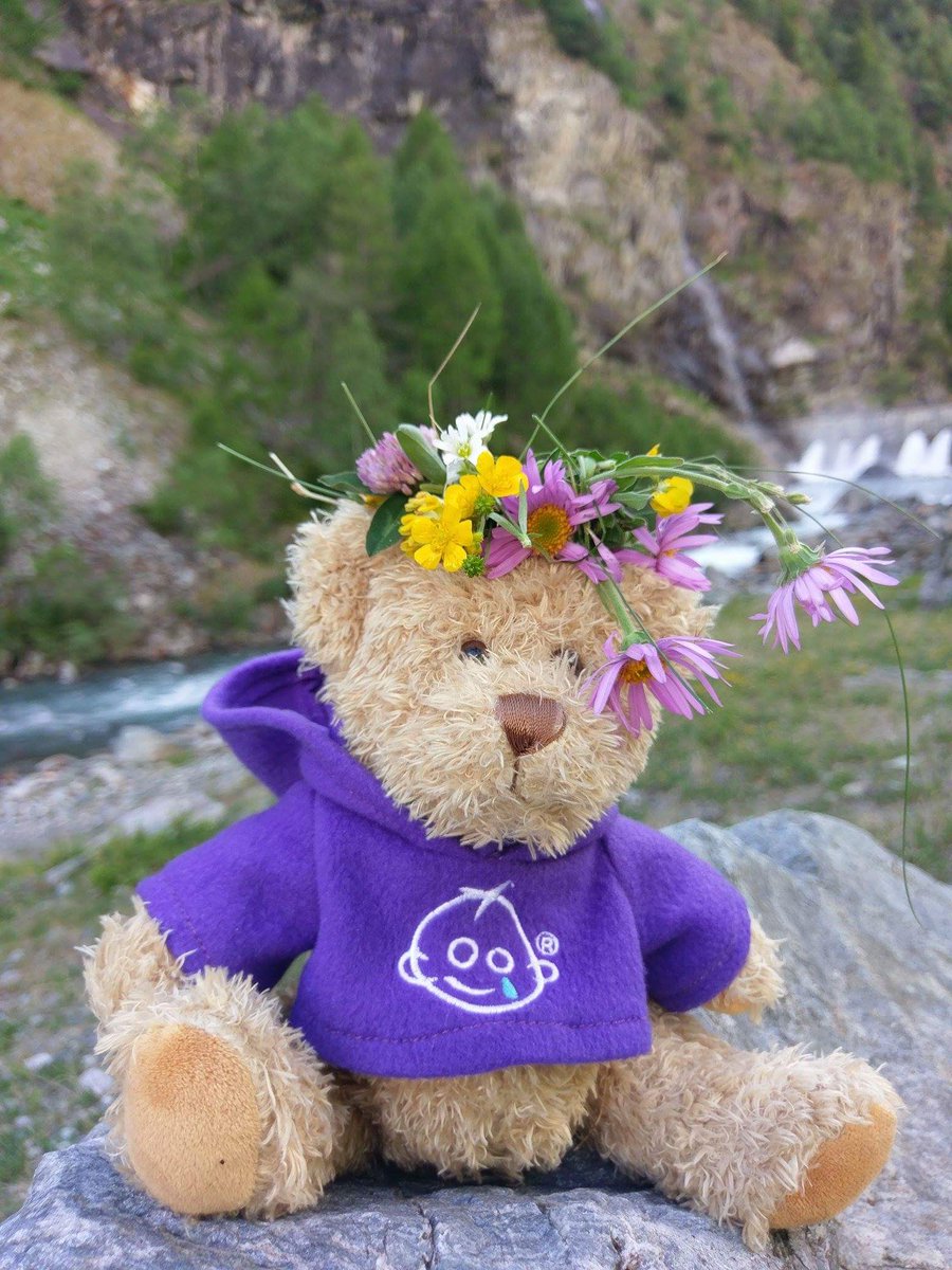 olhailyina's tweet photo. Bernard on holidays,exploring North Italy... https://t.co/N7TDN9h9BX