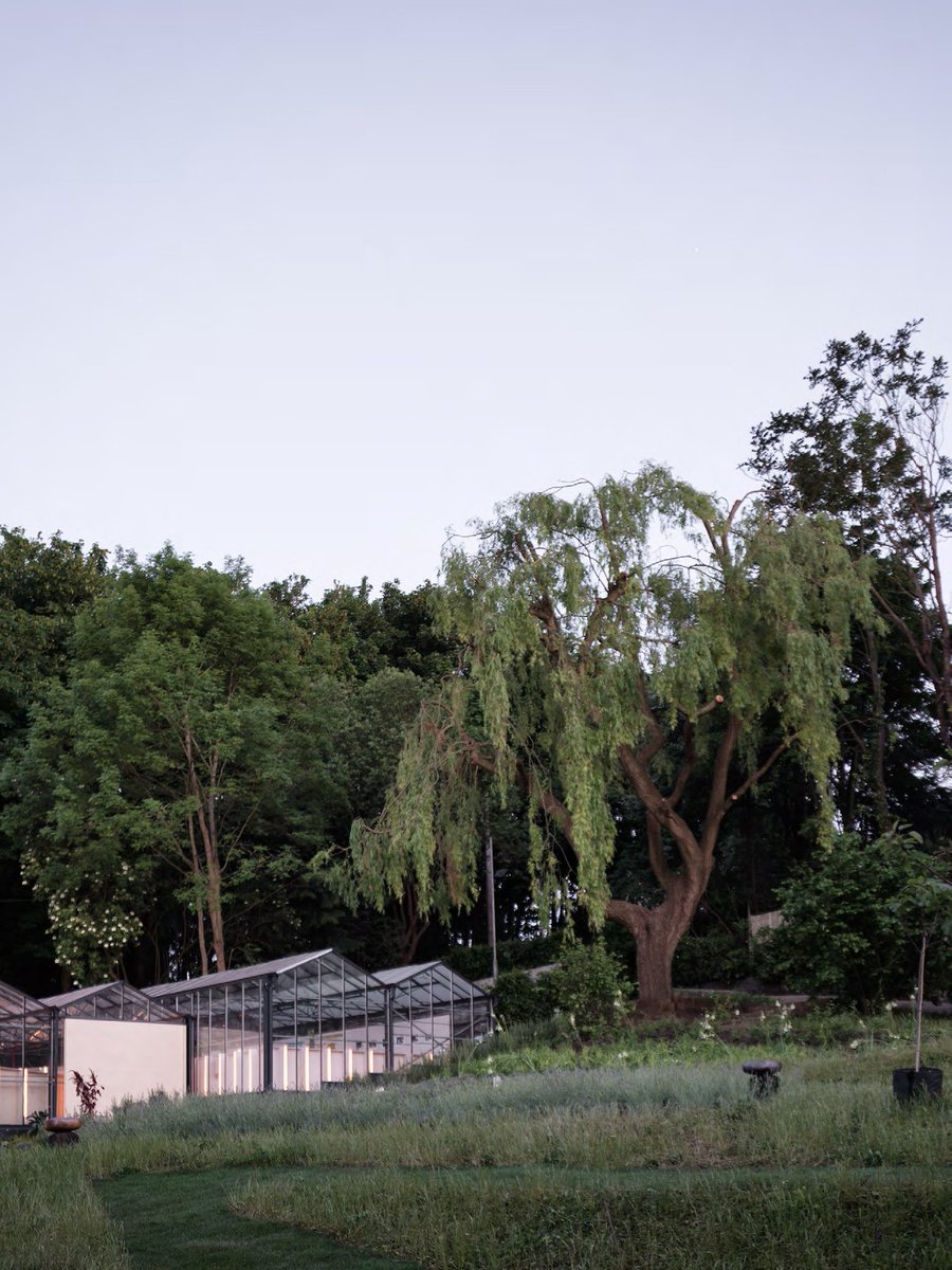 HasaArchitects's tweet photo. @HasaPress  #HASAArchitects #Glasshouse #plywood #Whitewallcompany  #refurbishment #arts #culture #highgatebowl #simonebossi https://t.co/xE5Lfd0iRO
