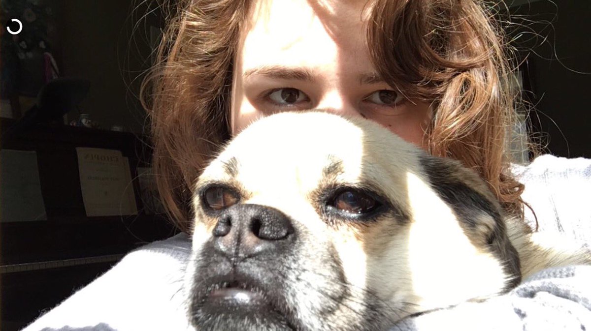 awoolfe's tweet photo. My aesthetic is @azivolak snuggling with her dog https://t.co/vX3f0Pu8cJ
