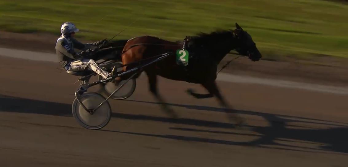Joe_Zagari's tweet photo. #VampKronos 🇮🇹 #ReadyCash won Margaretas Tidiga Unghästserie - 3yo Mare - in @Solvalla with @StallCE 1.12.8 on 2140 over #MaharaniDeBaroda https://t.co/ibTxJHOk8r