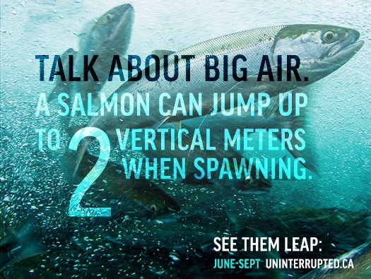 UninterruptedCA's tweet photo. Catching #bigair in #vancity later this month. This FREE event starts June 28. 

#SalmonSocial 

#vancouverisawesome #vancitybuzz #canada150 https://t.co/3P0UZhsgfl