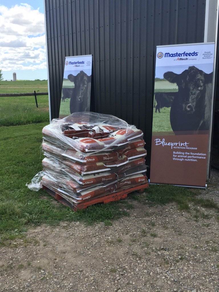 DougMarriott1's tweet photo. Walter has landed. #pasture Walk 17 @MasterfeedsCDN @Alltech @BrusselsAgriSrv https://t.co/GHaQPEGExy