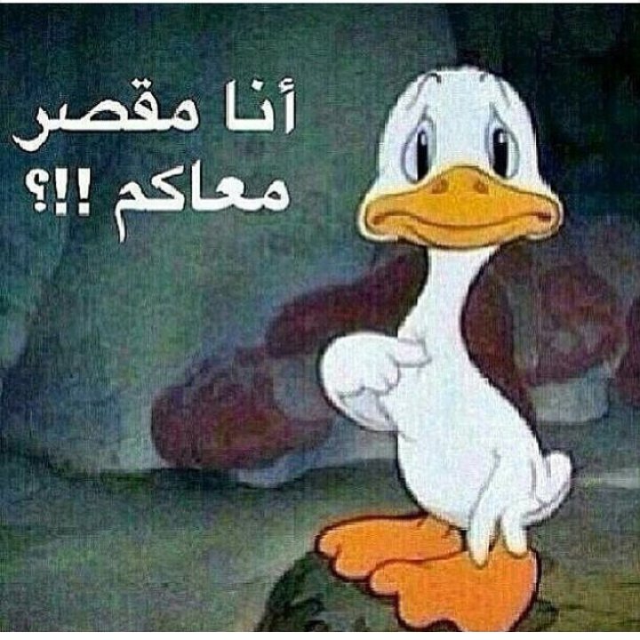 hs3116's tweet photo. #ابداعكم_بصوره https://t.co/XIK34Y8DvN