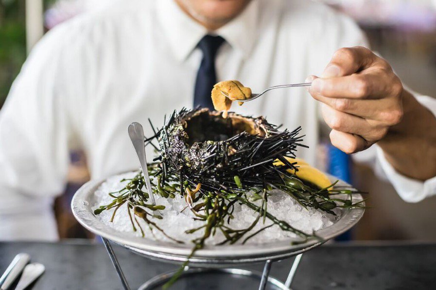 Bon appétit! | <a href="/andrewhektor/">Andrew Hector🧢</a>