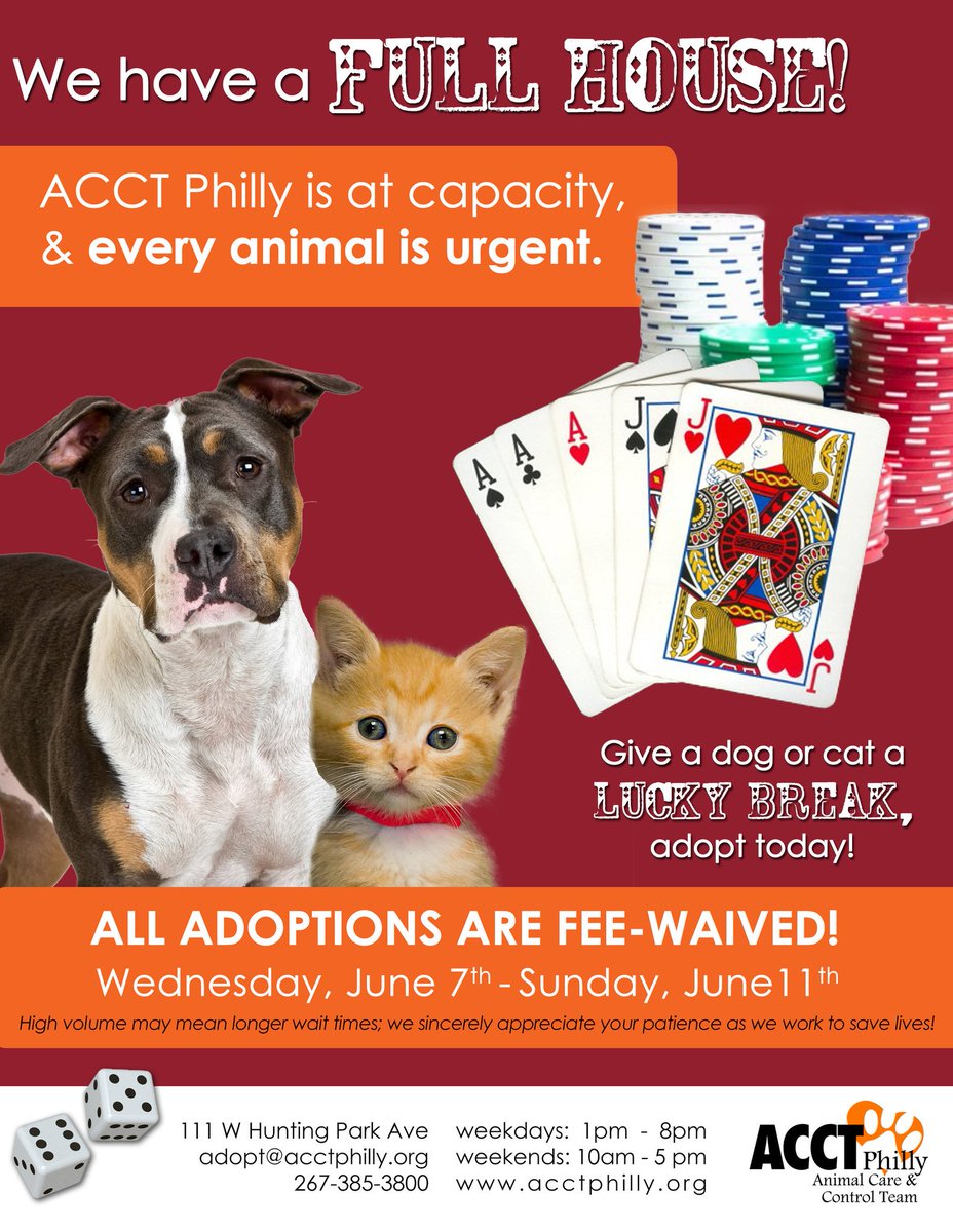 Philadoptables's tweet photo. #totallyfull #acctphilly #adoptdontshop #savealife #urgent #now https://t.co/iL94IqKe31