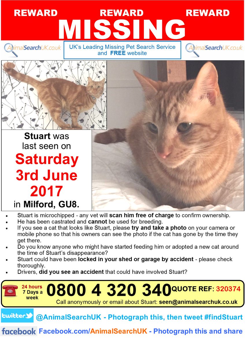 AnimalSearchUK's tweet photo. PLZ RT @GodalmingTownCo @TownOfGodalming @SurreyAd @hellogodalming
#findstuart #missingcat #godalming https://t.co/WBFIFBVZx8 https://t.co/gYQBW4mnUK