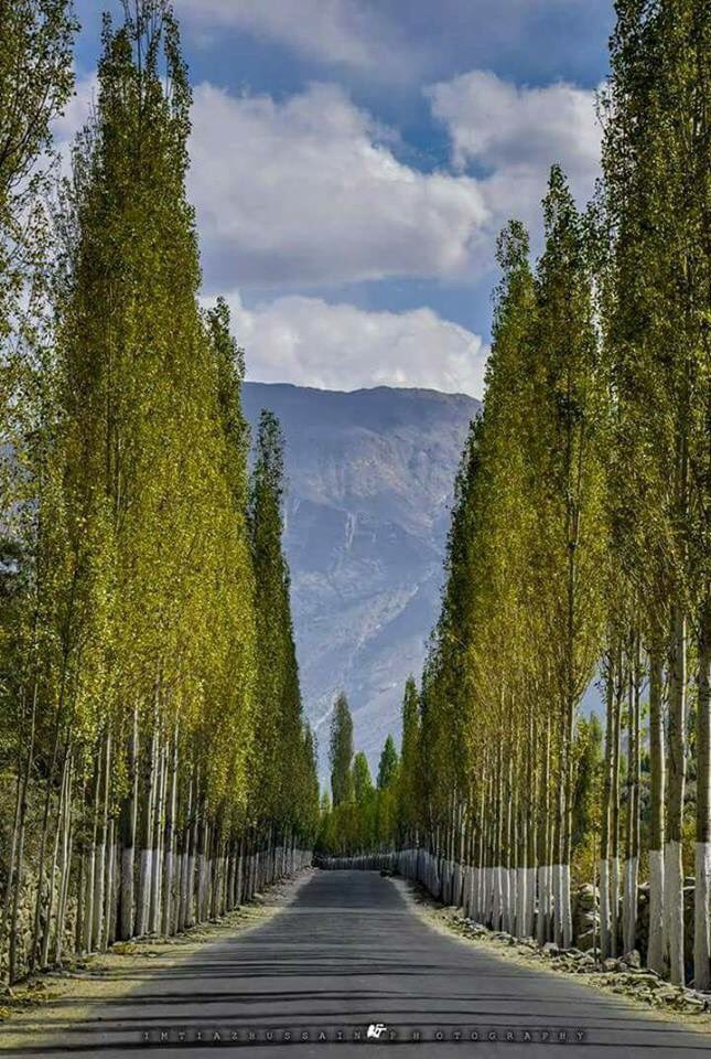 iamIAli1's tweet photo. KHAPLU, Gilgit-Baltista
#ItsBeautifulItsPakistan https://t.co/Kj9ixnKn0l