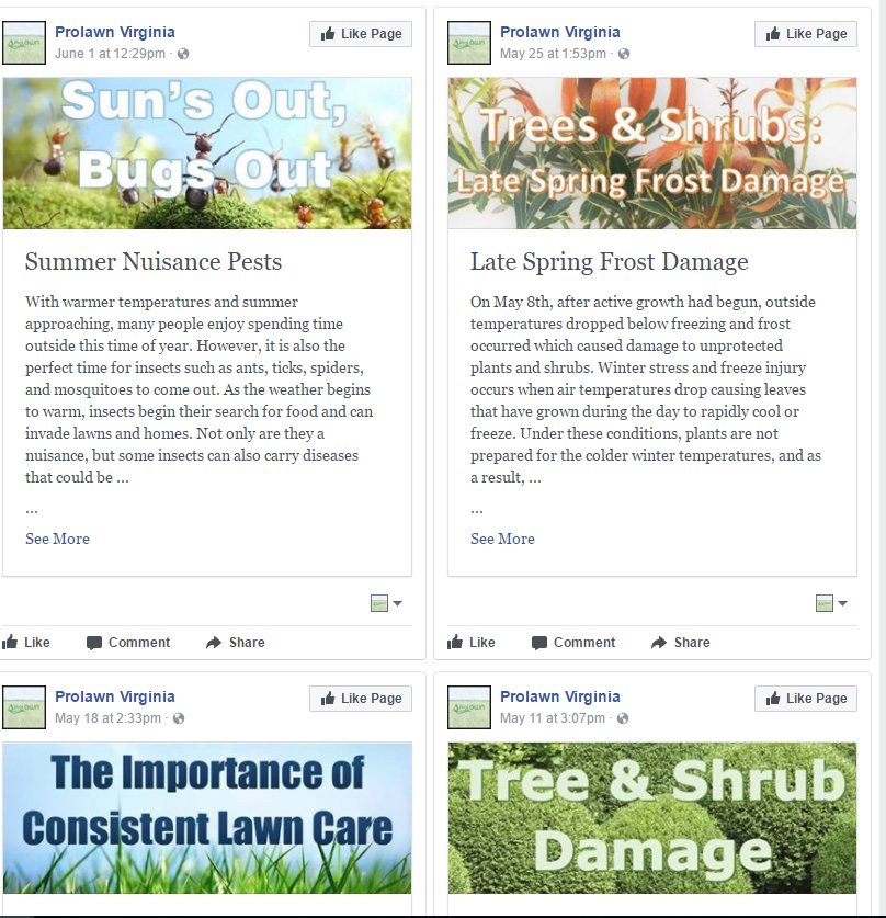 prolawnvirginia's tweet photo. LIKE our FB page and check out our Notes section for lawn care tips and info! https://t.co/xWdFs6pZyt #OrganicApproach #LawnCare https://t.co/hrbxxLvwHe