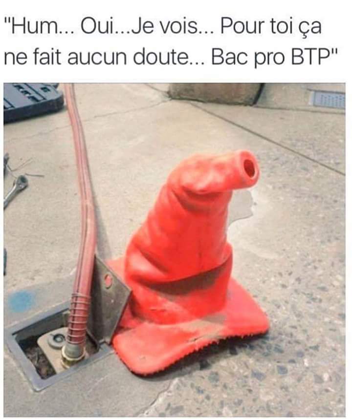 MonstrueuxL's tweet photo. Je savais pas que tu faisais les choix d'orientation des modus @LChoixpeau ! Décidément multi-tâche ... https://t.co/AXHhL4kQlj