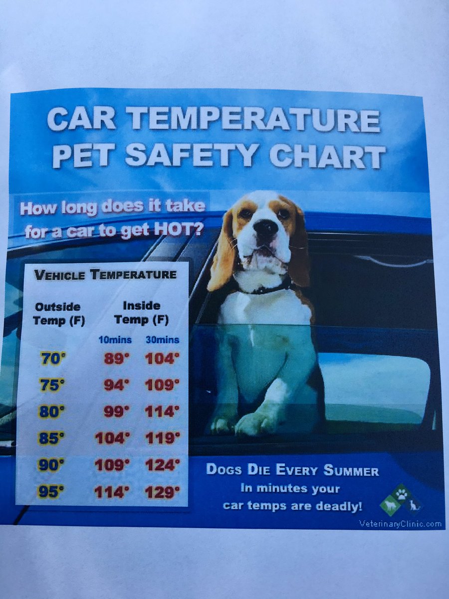 Dog Walking Temperature Chart