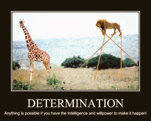 ecs_cyber's tweet photo. #DETERMINATION
#ecs_cyberTips #youcandothis #YesYouCan
Everything is possible https://t.co/7CqUY49AtC