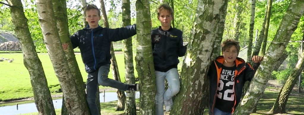NatuurSTvsn's tweet photo. Speelbosupdate #1: we zijn over de helft! https://t.co/02LAa6g9OP https://t.co/GGesb8lnLR