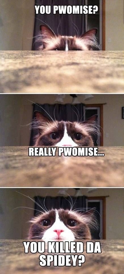 LenyG19's tweet photo. Do u promise? https://t.co/rjbHqeN48Q