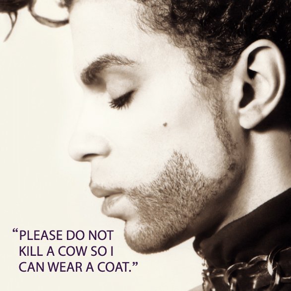 ThrivabilityOrg's tweet image. On the 59th anniversary of his birth, let his legacy 4 love, compassion + animal rights inspire U 2 #GoVegan. #PETA #PrinceDay