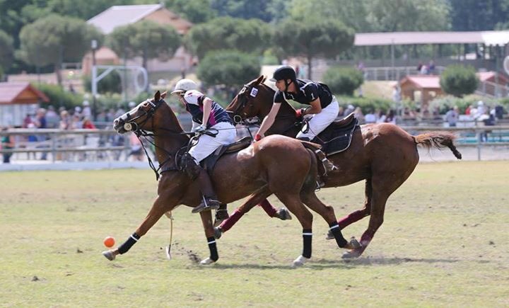 Fédération Fr Polo tweet media