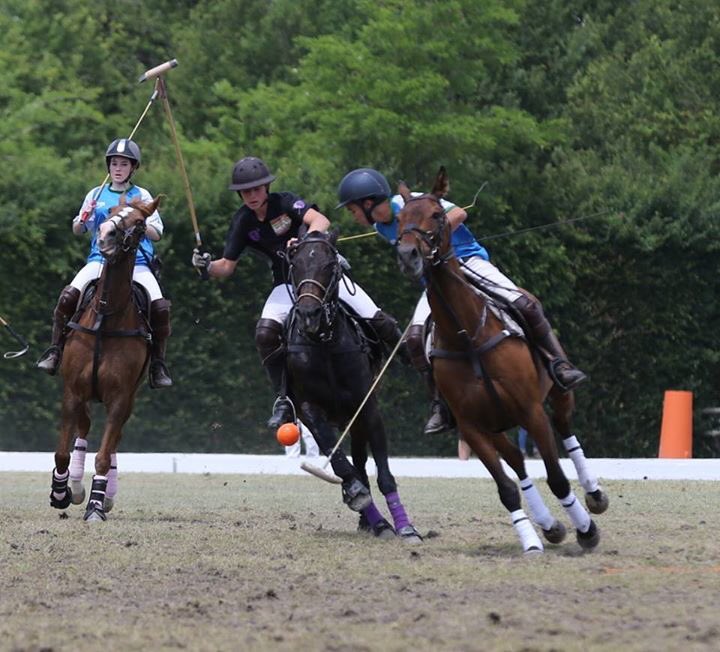 Fédération Fr Polo tweet media