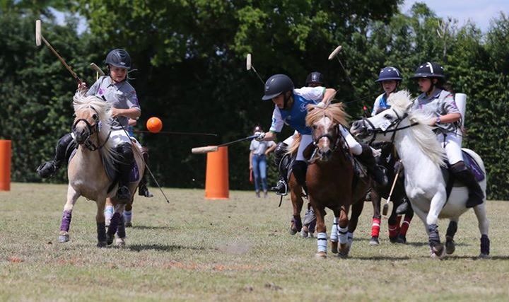 Fédération Fr Polo tweet media