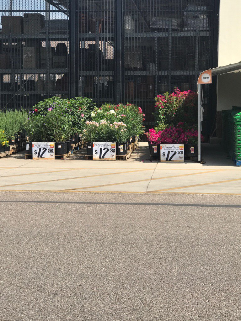 Timateo22's tweet photo. 12.88 shrubs on special at Home Depot's all over Phoenix and Tucson, 22.98 at the competition! https://t.co/abD4PnkTc0