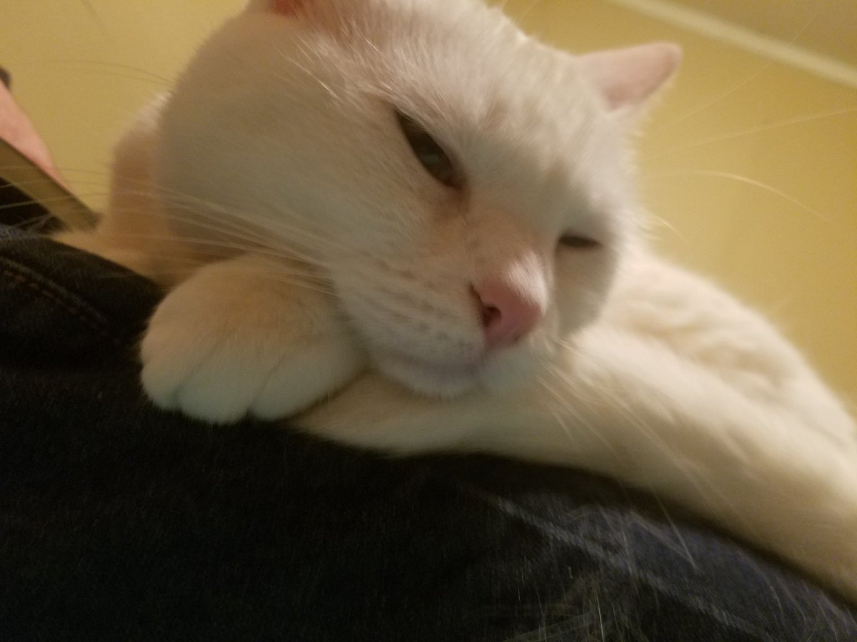 Thepushpitking's tweet photo. Me: okay I seriously gotta get ready for work right now. 
Also me: https://t.co/4SP2uZj6Se