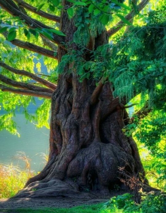 해야 할 것을 하라. 
모든 것은 타인의 행복을 위해서, 
동시에 특히 나의 행복을 위해서이다.  
#톨스토이

#명언 #좋은글 #힐링 #건강 #운동