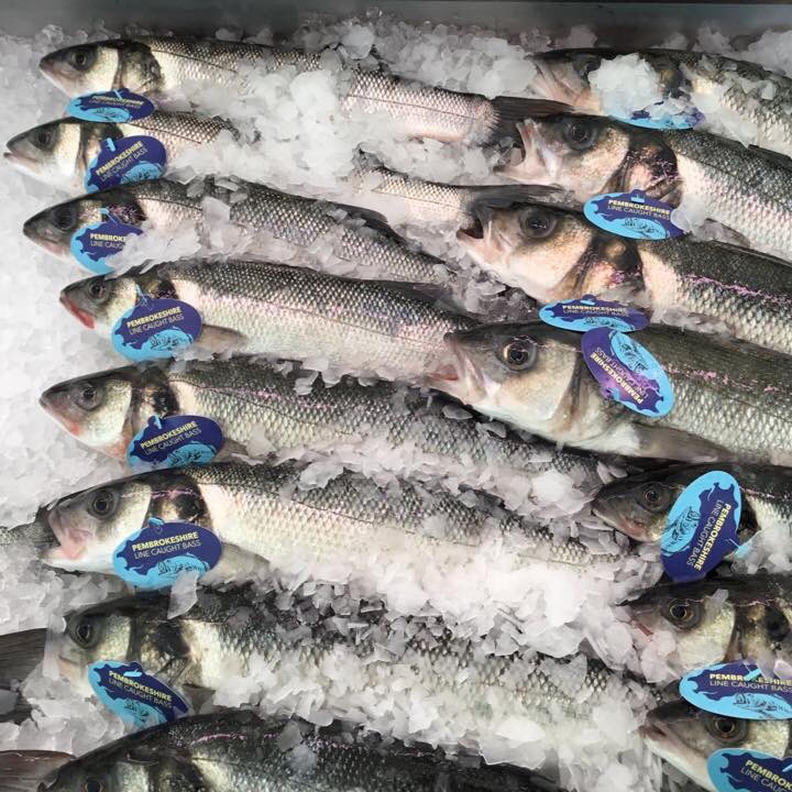AlbatrossM6's tweet photo. Back at the Fish Festival this year, Sunday June 25th at Scolton Manor! Fresh sea Bass available. Prices TBC 🐟🐟🐟 https://t.co/91ciGjCHTH