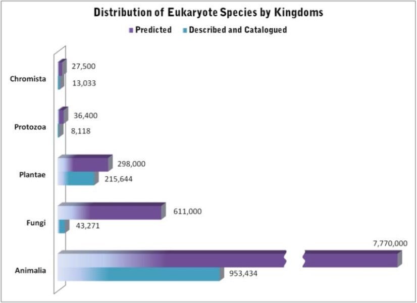 revresbo1's tweet image. How do you reconcile the capacity of the Ark, the number of living species &amp;amp; a 6000 year old Earth? #HyperEvolution