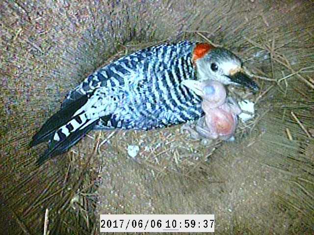 JD_science tweet picture