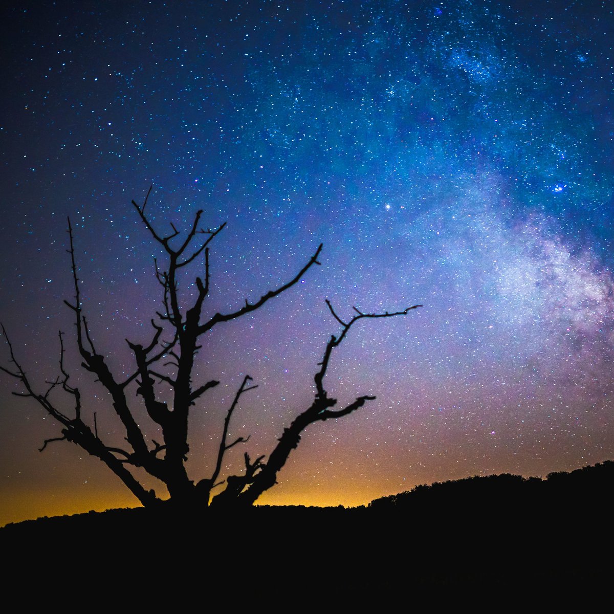 inkloapp's tweet photo. With more stories than there are stars in the night sky... what will you discover? https://t.co/ruP9d3MqWN
