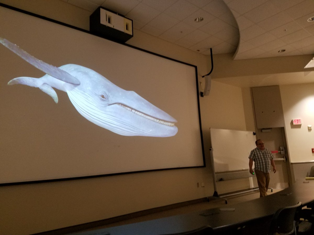 VWE Conference tweet media