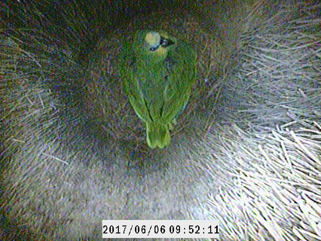JD_science tweet picture