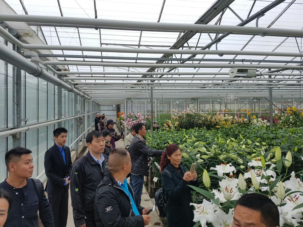 Een druk bezochte dag gehad tijdens de @dutchlilydays, op naar dag drie! U bent t/m vrijdag 9 juni van harte welkom!