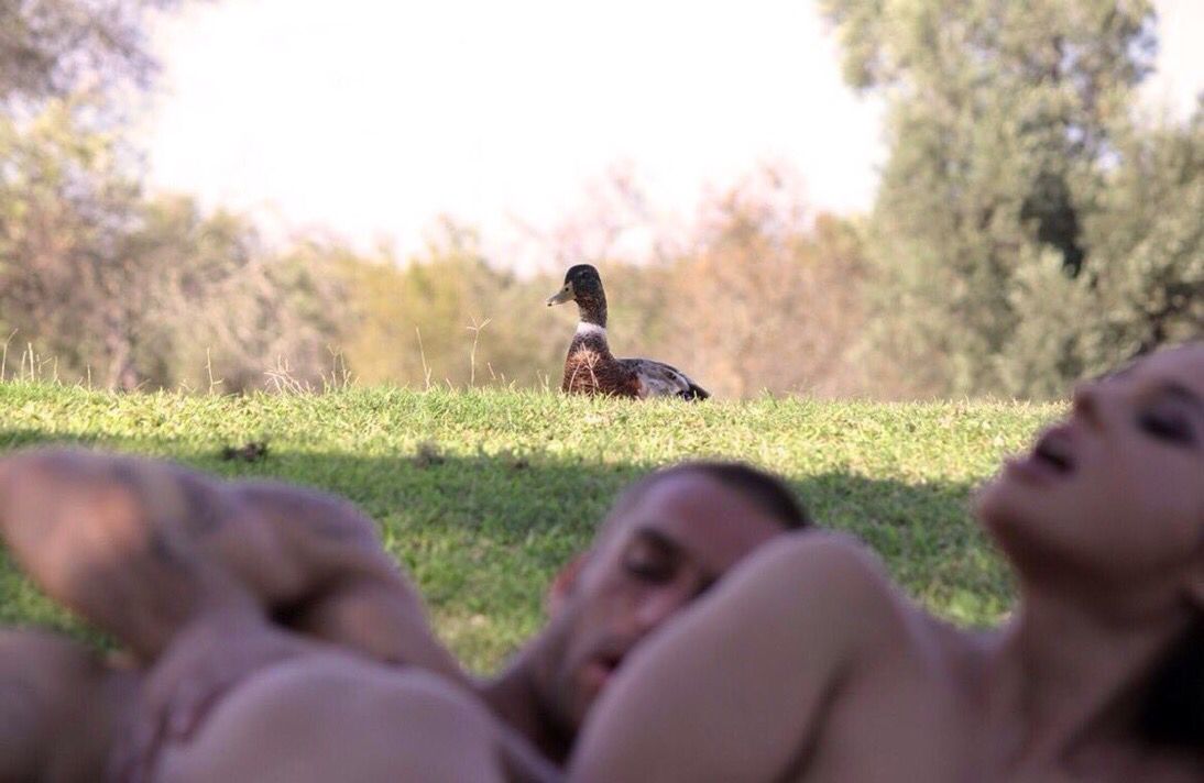 FunniestVines's tweet photo. Y'all niggas got any brea.....Nvm https://t.co/dZS21H081B