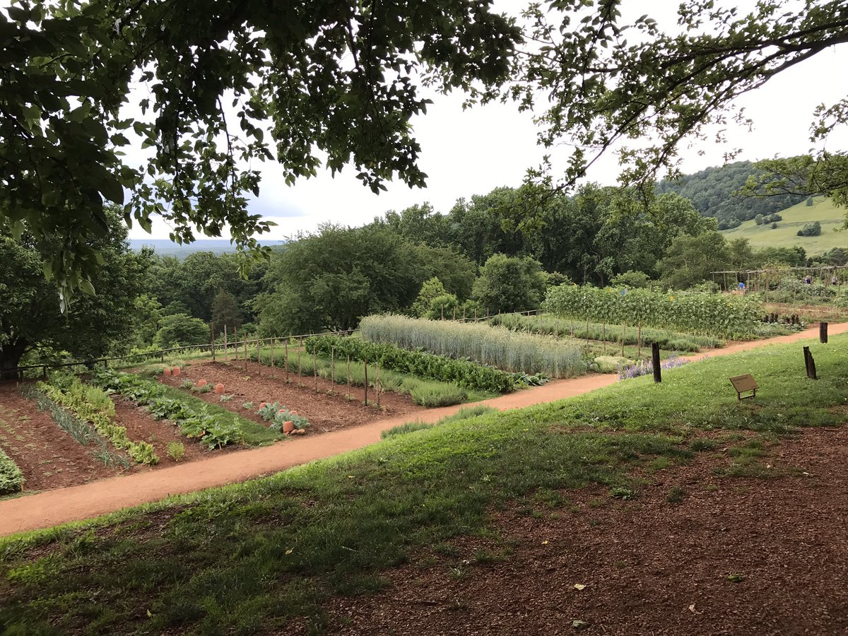 MrsKatieNiemann's tweet photo. Thomas Jefferson's garden @TJMonticello #milDCtrip2017 https://t.co/obu3Y8Kg2K
