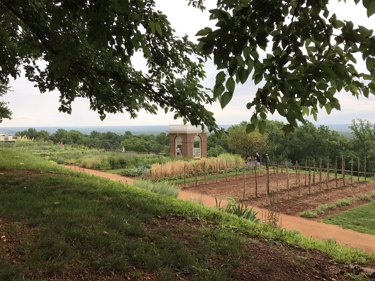 MrsKatieNiemann's tweet photo. Thomas Jefferson's garden @TJMonticello #milDCtrip2017 https://t.co/obu3Y8Kg2K
