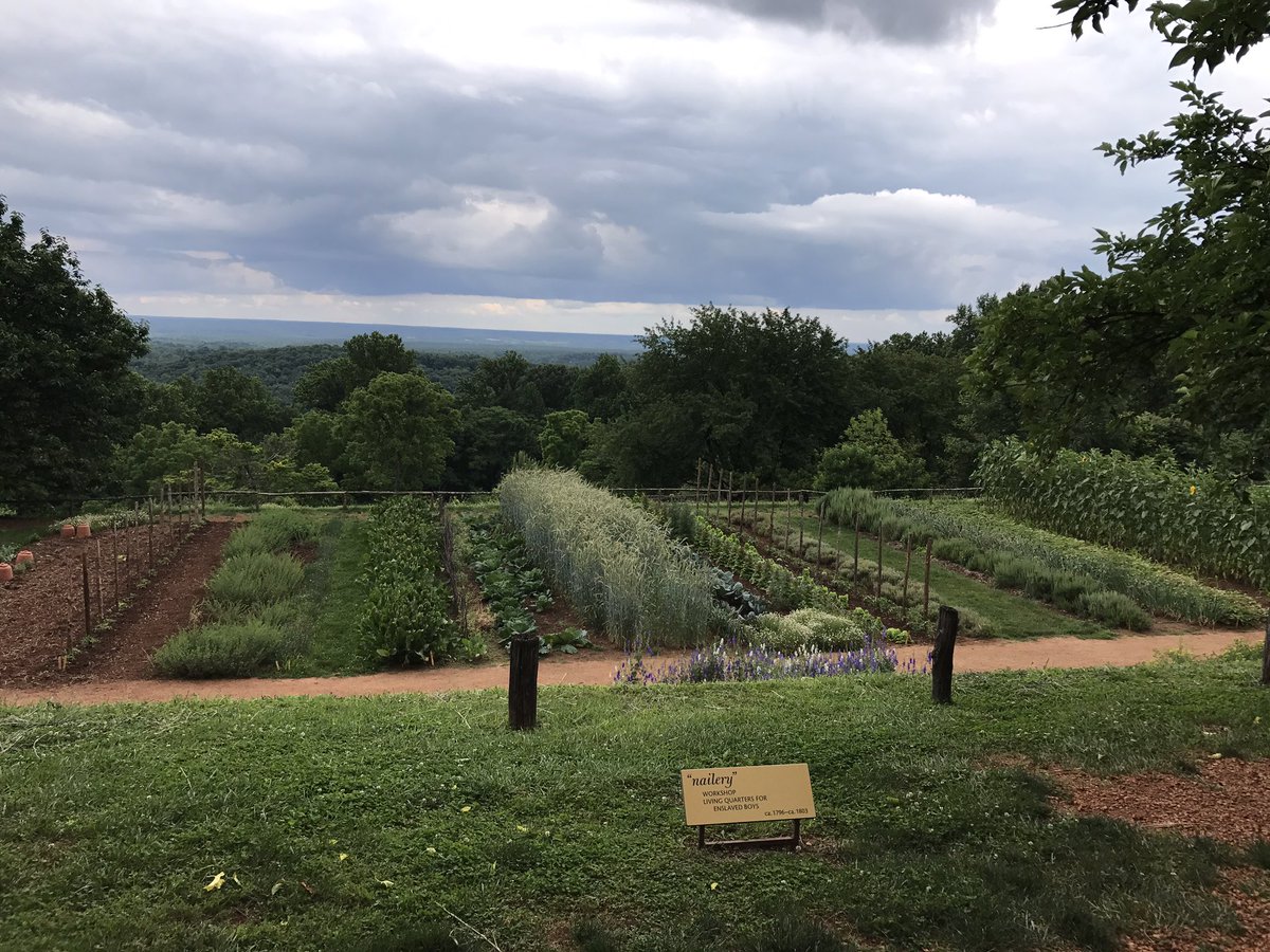 MrsKatieNiemann's tweet photo. Thomas Jefferson's garden @TJMonticello #milDCtrip2017 https://t.co/obu3Y8Kg2K