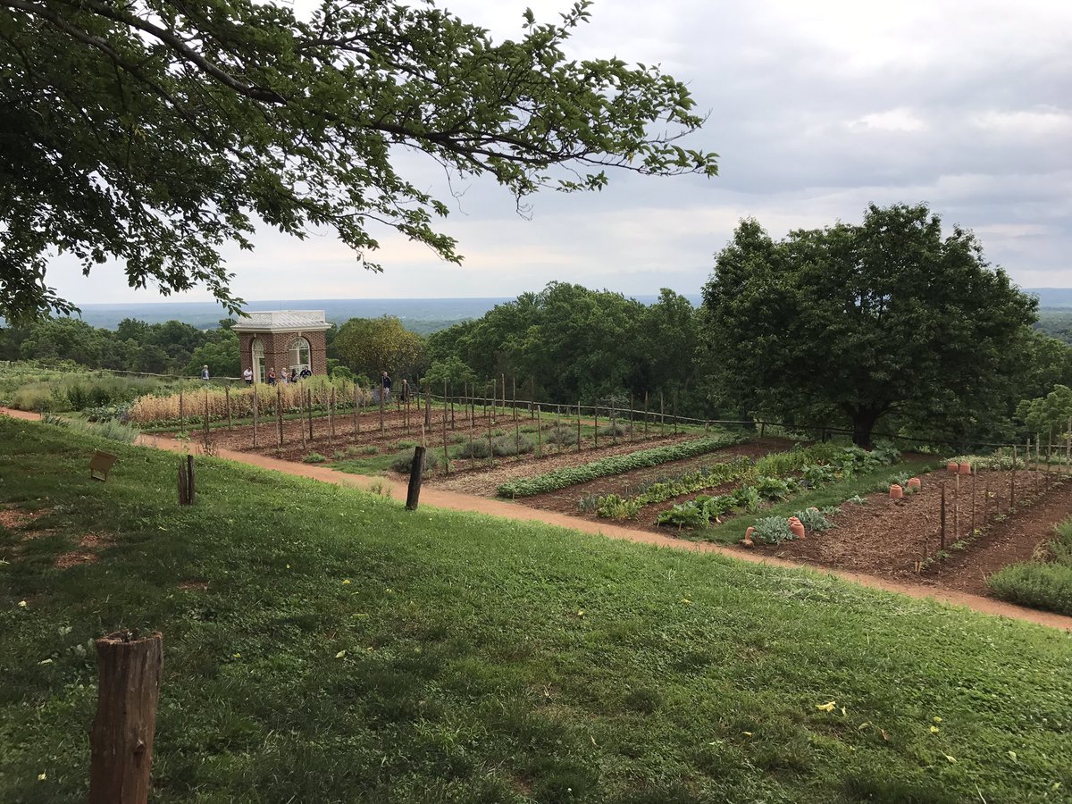 MrsKatieNiemann's tweet photo. Thomas Jefferson's garden @TJMonticello #milDCtrip2017 https://t.co/obu3Y8Kg2K