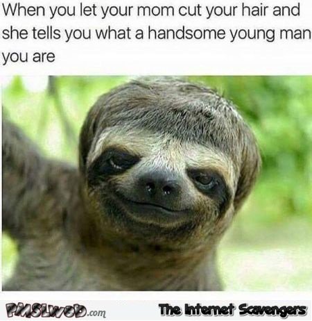 shearPASSIONsal's tweet photo. #HairCare https://t.co/J1YIkIzmUj