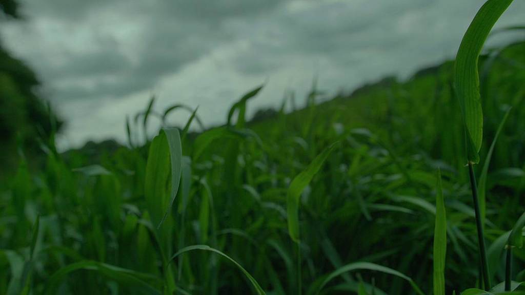 JanISolberg's tweet photo. Excited to be capturing some dark and moody visuals on my next project Mr.Wolf with director @freyalawrence. Here's a still from our locati… https://t.co/0YuCU4Y599