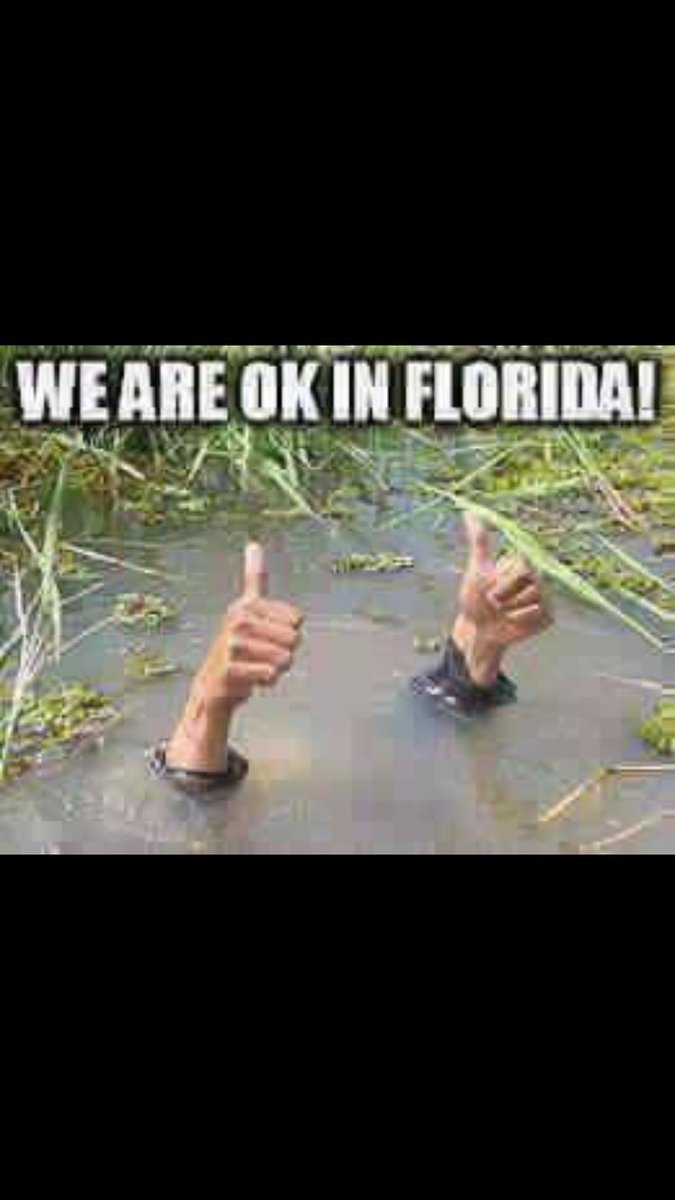 Ёлка (@antonina07) on Twitter photo 